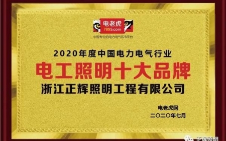 品牌榮譽(yù)！祝賀浙江正輝照明榮膺2020年“電工照明十大品牌”